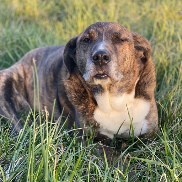 Meet your Posher, Caitlin - Picture 8 of 12